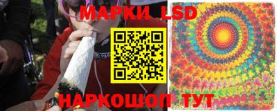 МДПВ Будённовск