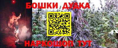 МДПВ Будённовск