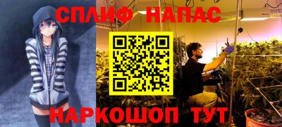 МДПВ Будённовск